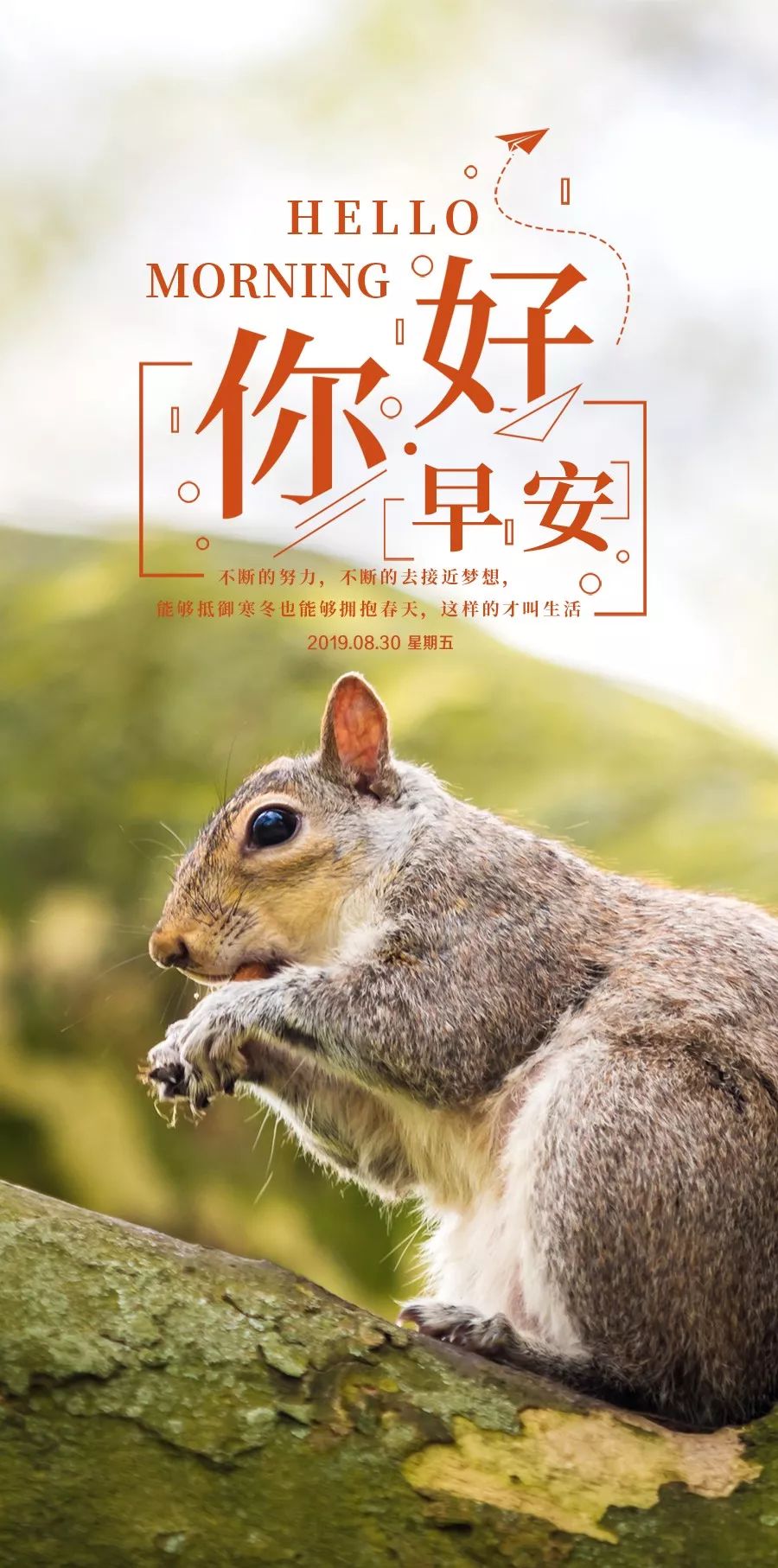 周五早安心语正能量最牛语录句子超漂亮早上好图片大全正能量