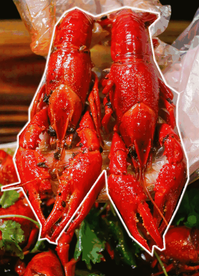 上过央视,去过世界杯的小龙虾杀到普宁,让人堕落到凌晨……_活动