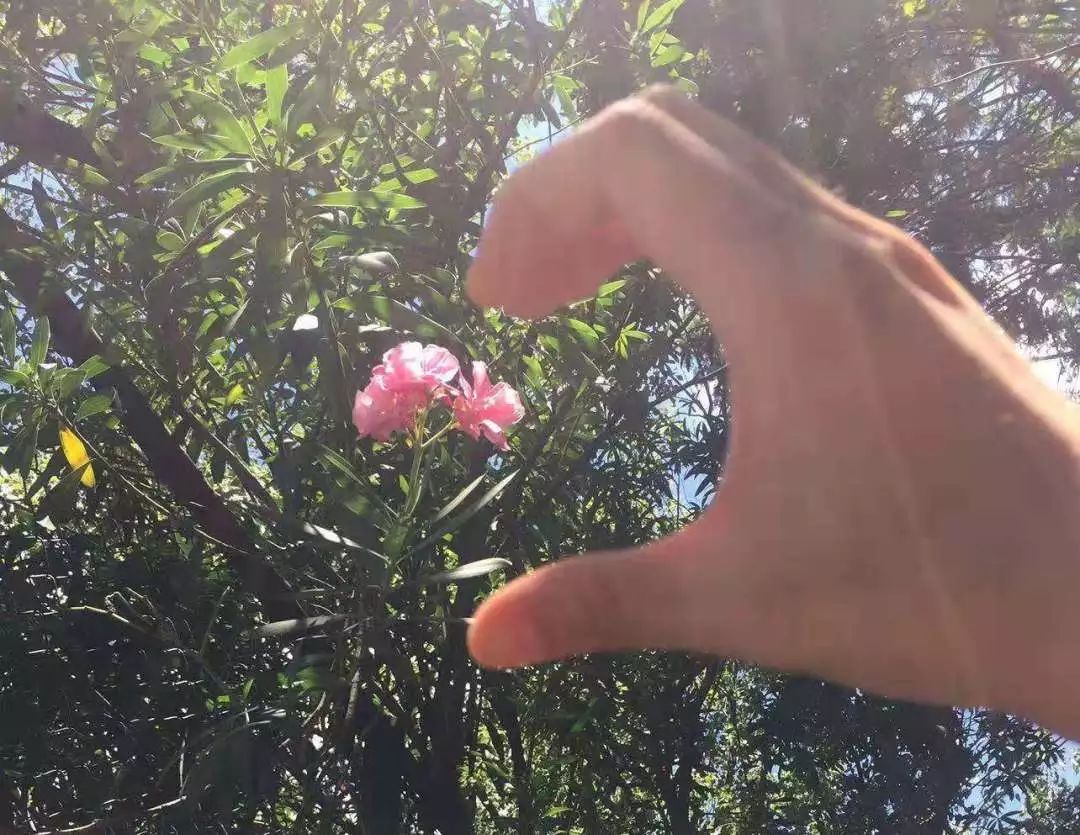 在画的花上比心也很有创意呢~在对方的照片上补上另一半心~这组创意