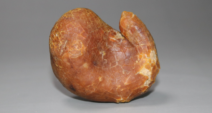 中药之魁——精品鸡宝