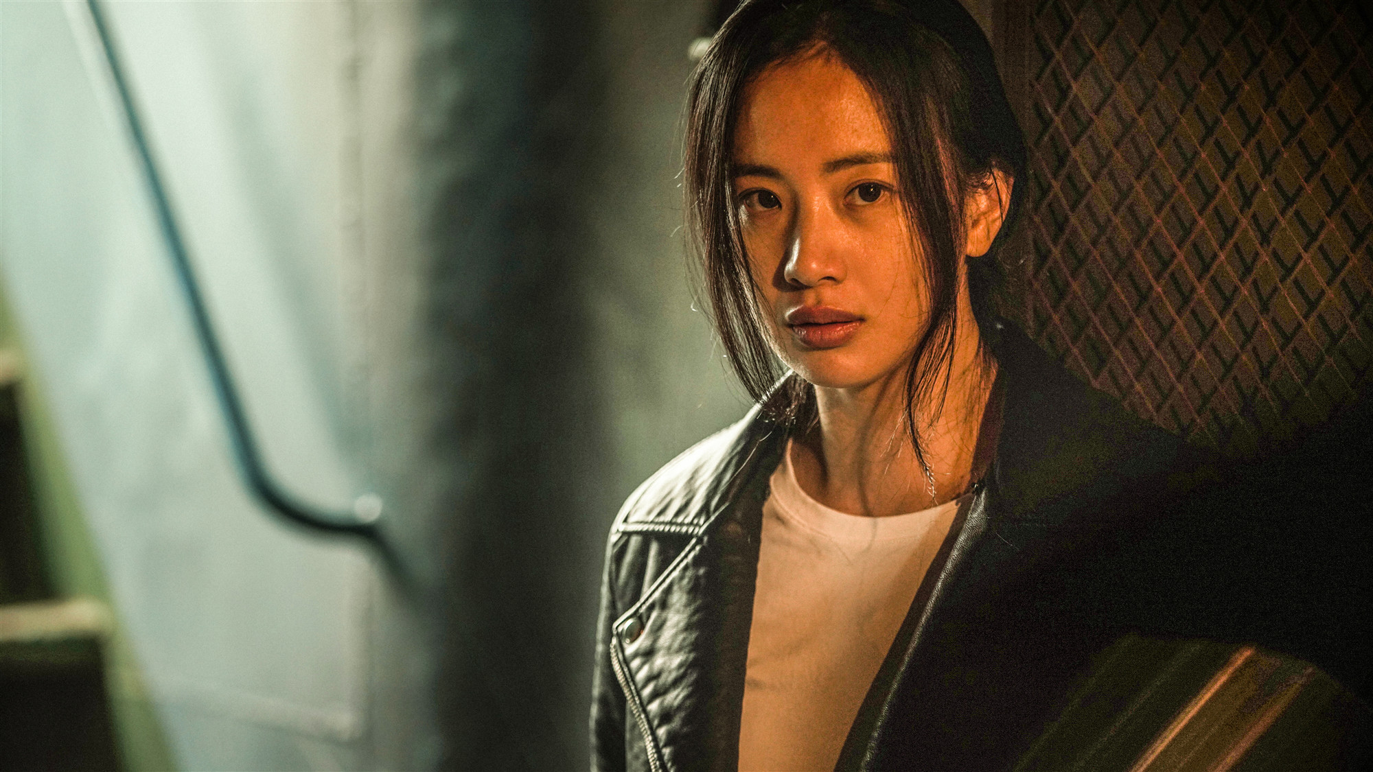 甘剑宇执导,大鹏,欧豪,李梦等主演的犯罪动作电影《铤而走险》于今日