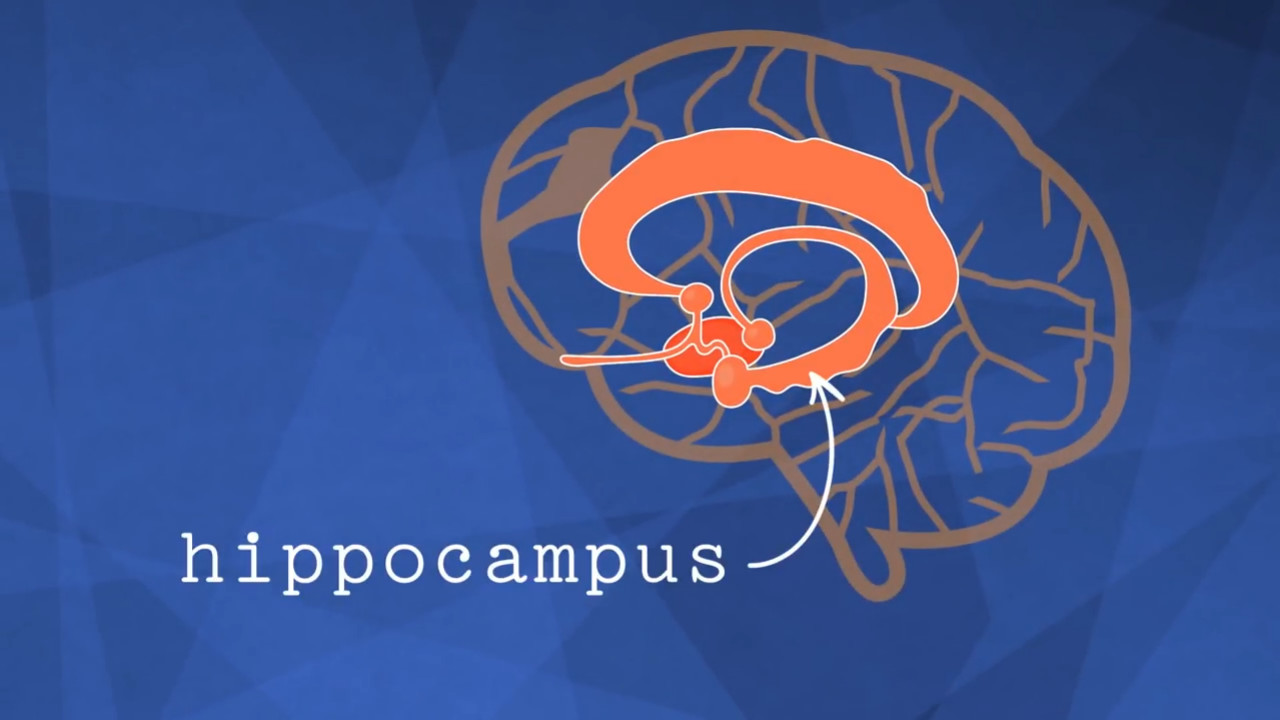 一旦我们大脑将我们接触到的物体标记为熟悉,那么就会启动一个叫做