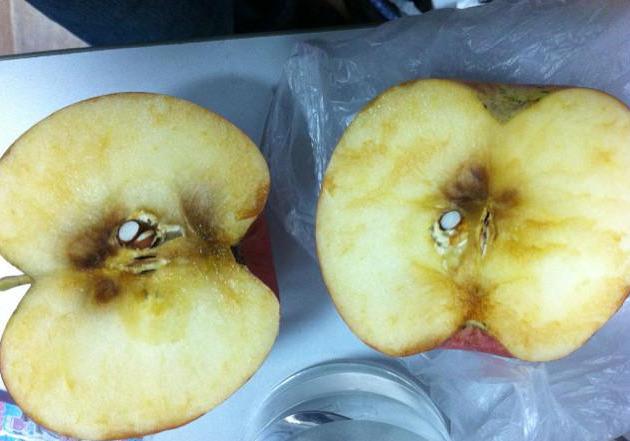 4,烂苹果有时候我们看苹果的表皮光滑无破坏,削开后里面就是烂了的