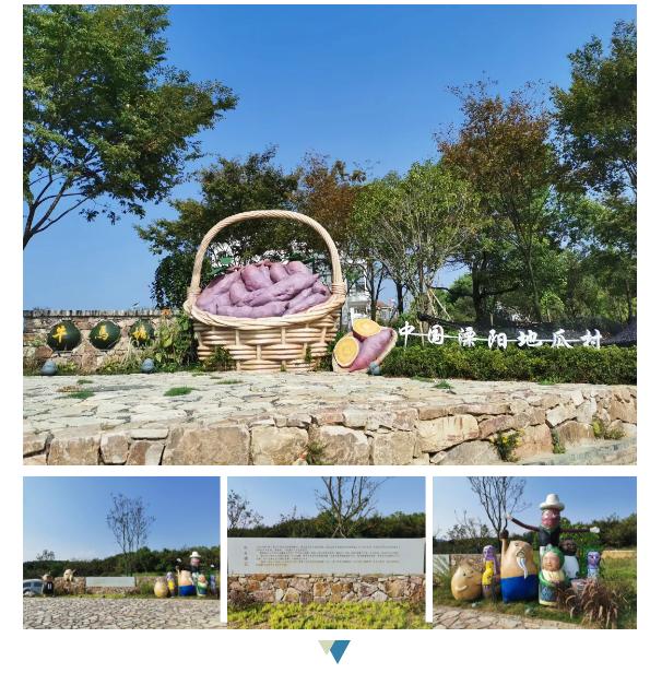 0519—87686869地址:江苏溧阳曹山旅游度假区牛马塘村薯院怀念红薯文