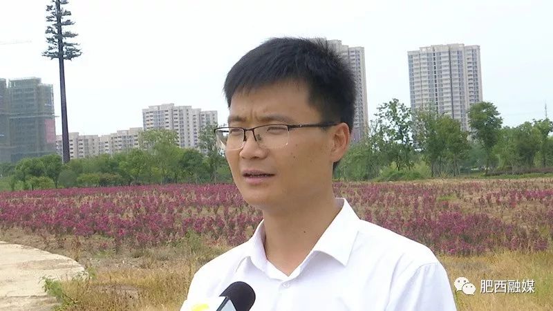 美丽乡村建设让肥西留得住乡愁看得见幸福