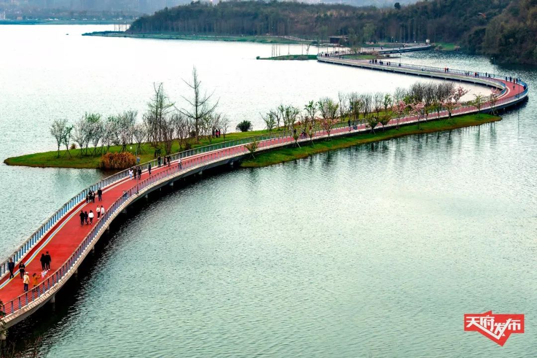 360°全景!空中俯瞰新区五年美丽画卷…_天府