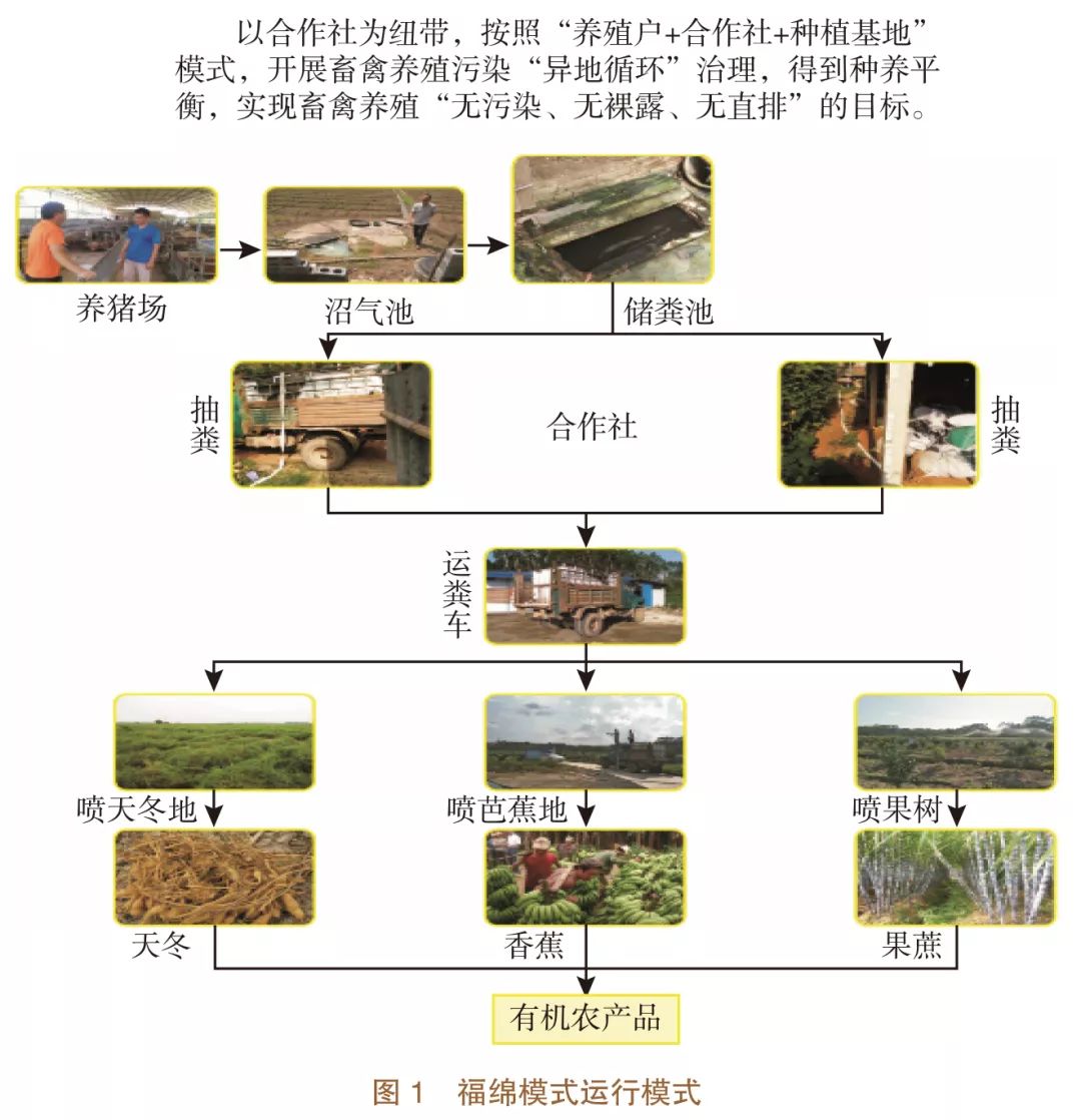 畜禽粪污处理：一场绿色革命
