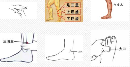 太溪脉,太冲脉,趺阳脉_大山谷图库