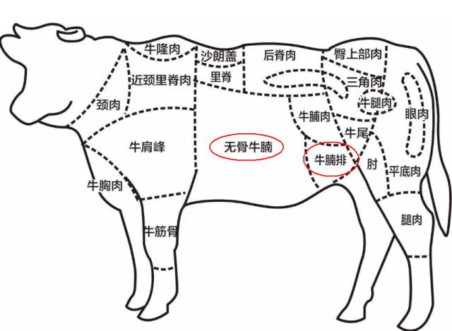 若依部位来分,牛身上许多地方的肉都可以叫做牛腩.