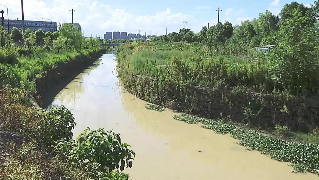 【今晚播出】宁海县:多股污水直排颜公河