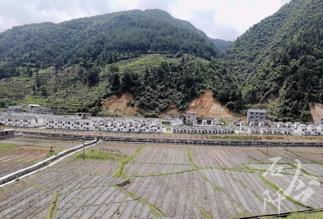 周靜龍井鎮關口坪村供圖:李怡璠花橋鎮北坪村供圖:袁福進龍塘鎮大園子