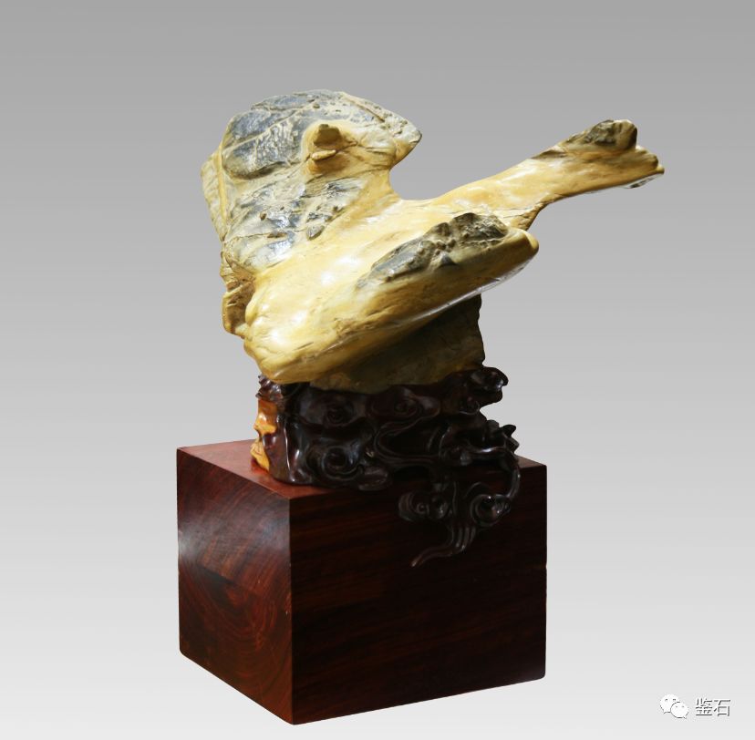 众家鉴石·见众家——巩杰_中国