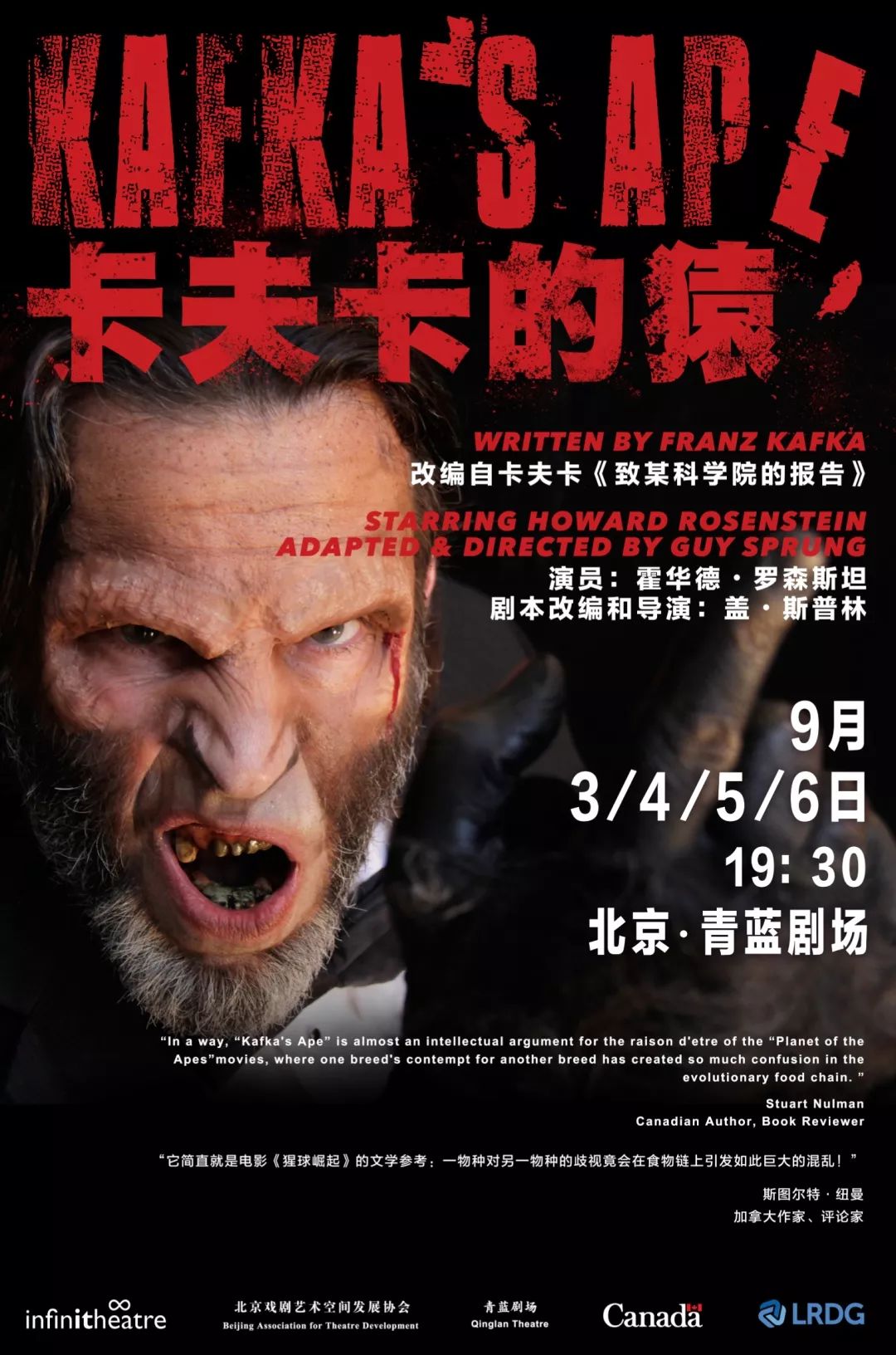 卡夫卡的猿硬核大胆演绎卡夫卡式噩梦