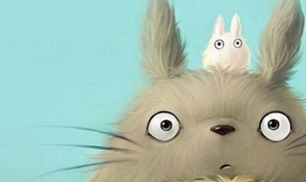 如果我没有养猫我会养一只软软糯糯的龙猫随身携带