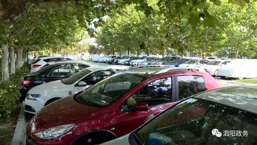 民丰银行前,装饰城绿地外侧,共新增和改造生态停车位约200余个