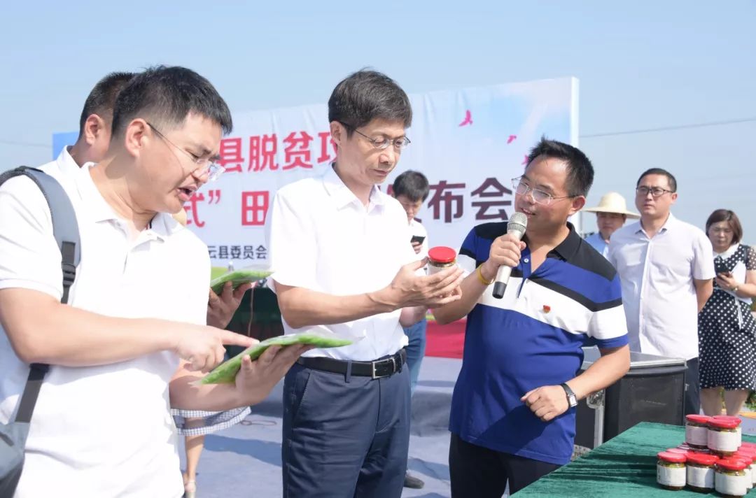 灌云这场特殊的新闻发布会上,县委书记左军接受四级媒体采访