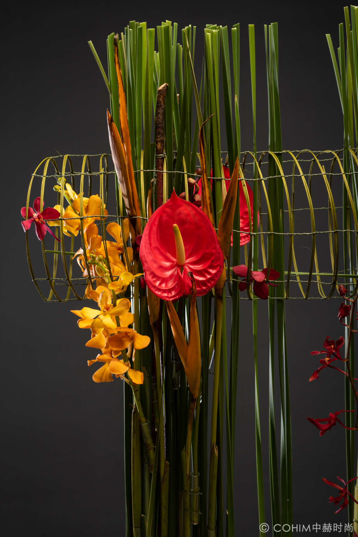 世界冠军mark教你国际架构花艺了_设计