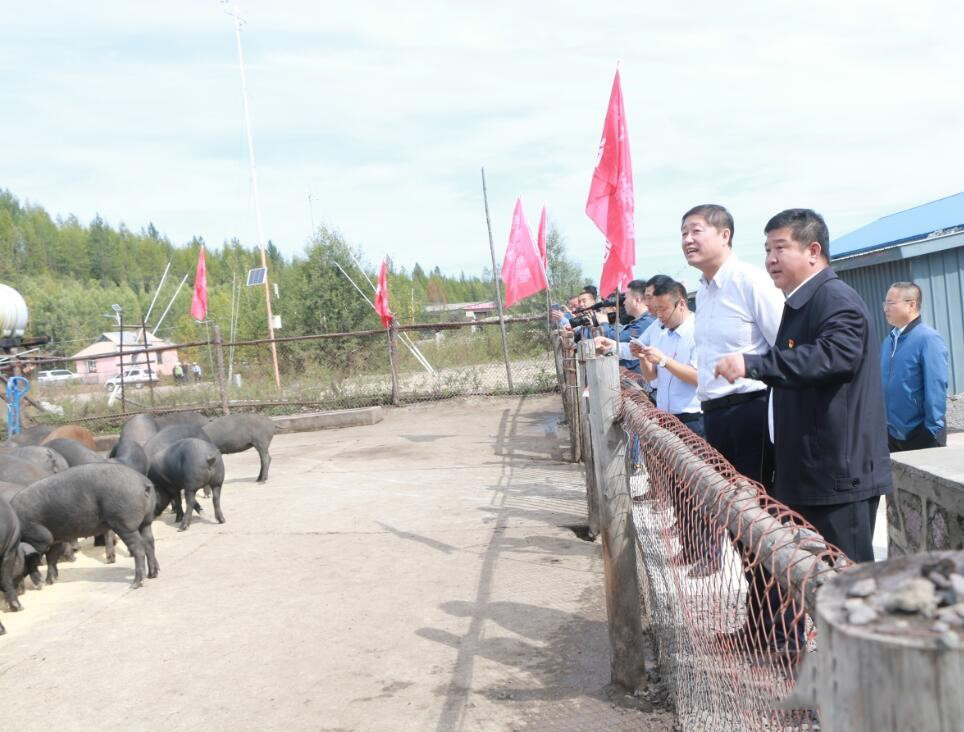 赵明,林管局副局长于志浩,李军,国家林业和草原局驻大兴安岭森林资源