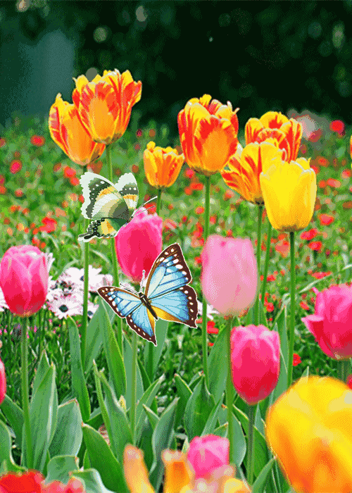 人活着:记住七句话,累了就看看;大彻大悟