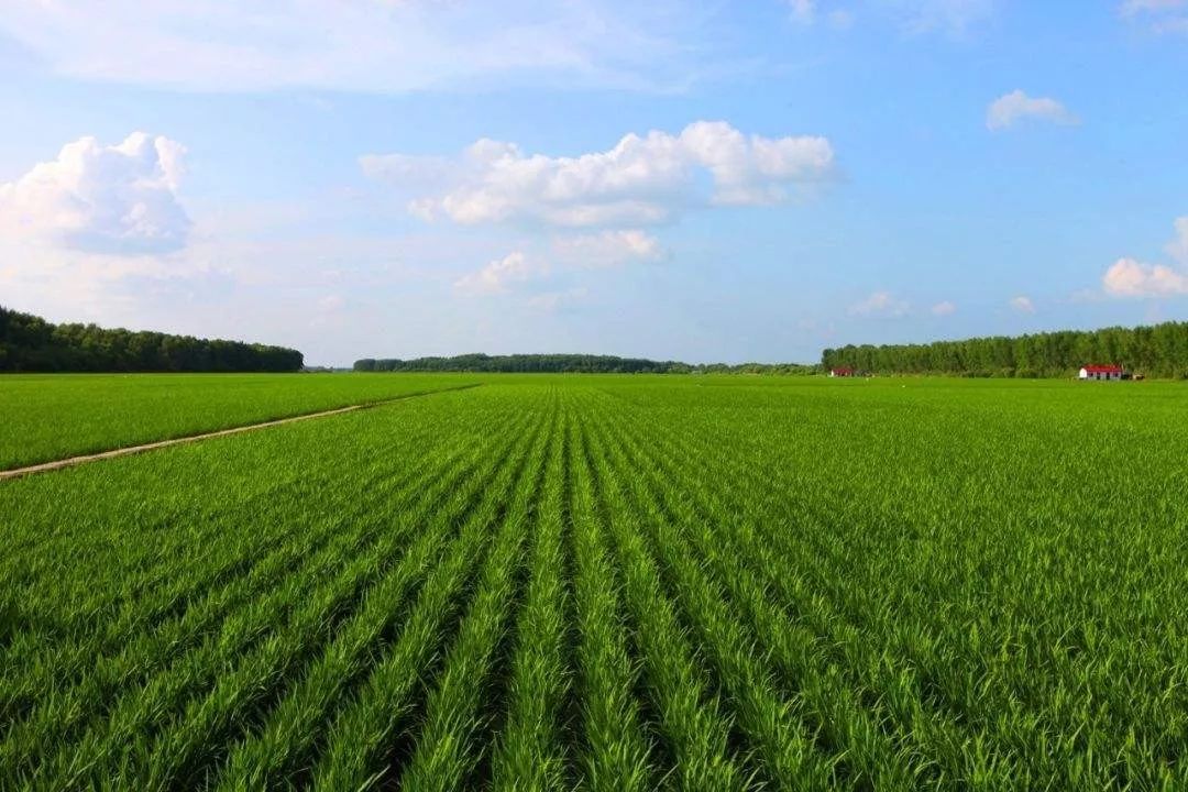 刘亭振兴东北农业之浅见