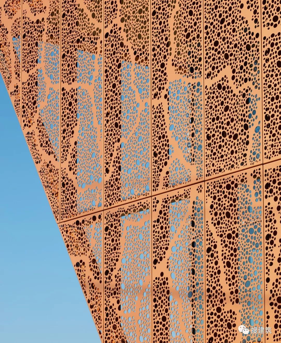 设计表皮美穿孔的金属板灵感来自于一棵大树图书馆创新中心的设计