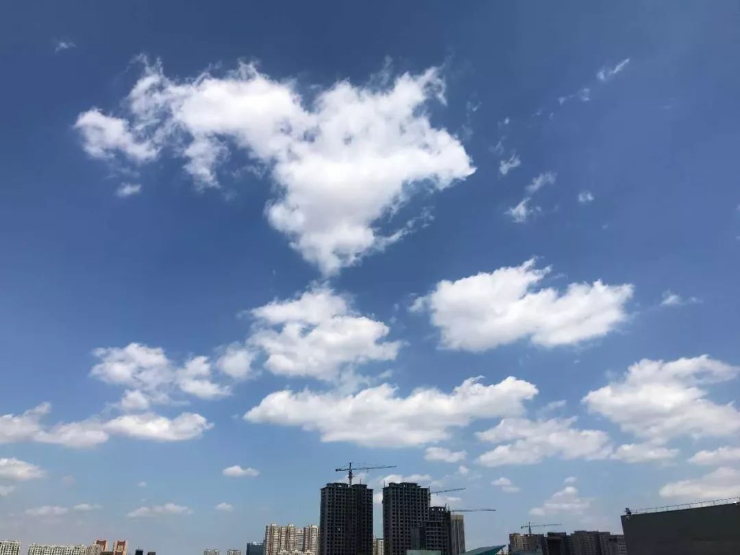 今天朋友圈被潍坊蓝占领了这样的天气还能继续坚持