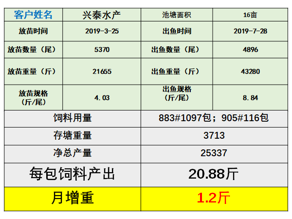 大草鱼价格见底回升,怎样投喂更赚钱?