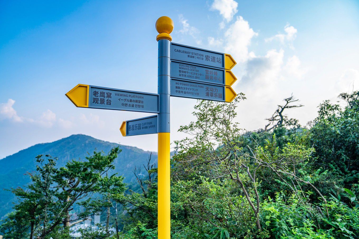 刷爆朋友圈的安吉云上草原众多的网红打卡项目到底该怎么玩