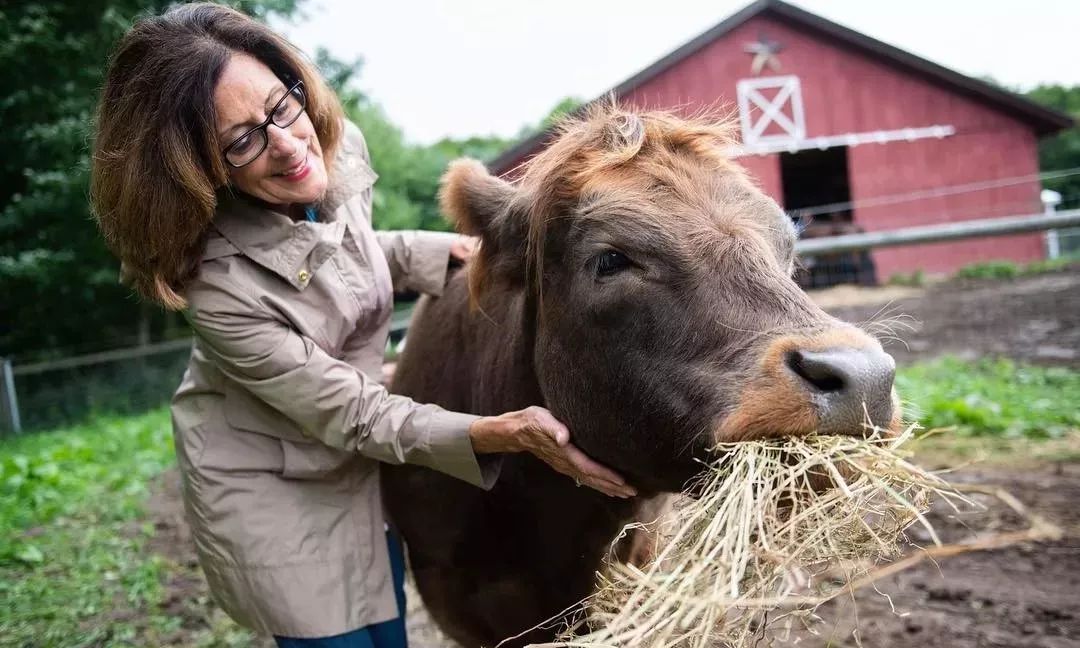 这家农庄因"抱牛体验"项目火了!
