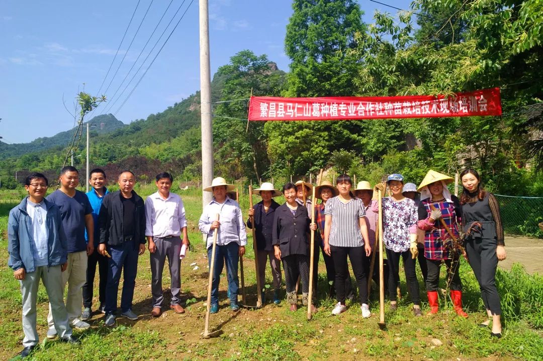 如繁阳镇缸窑村新任党总支书记盛明付抢抓农村集体产权制度改革试点