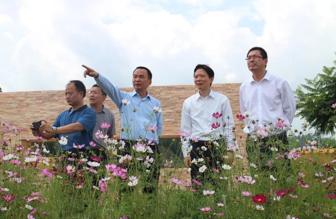 坚持标本兼治  强化整改落实 ——大姚县高标准严要求推进"美丽县城"