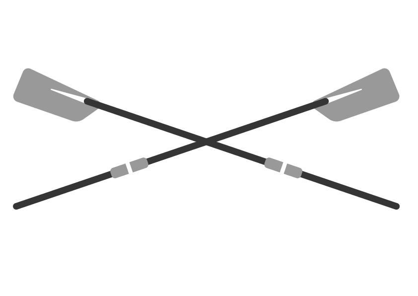 如何观赏一场高水平的赛艇比赛