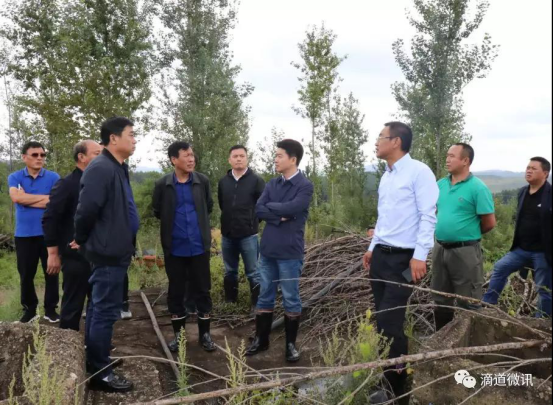 滴道区委书记徐铭到哈工石墨现场办公加快推进项目建设