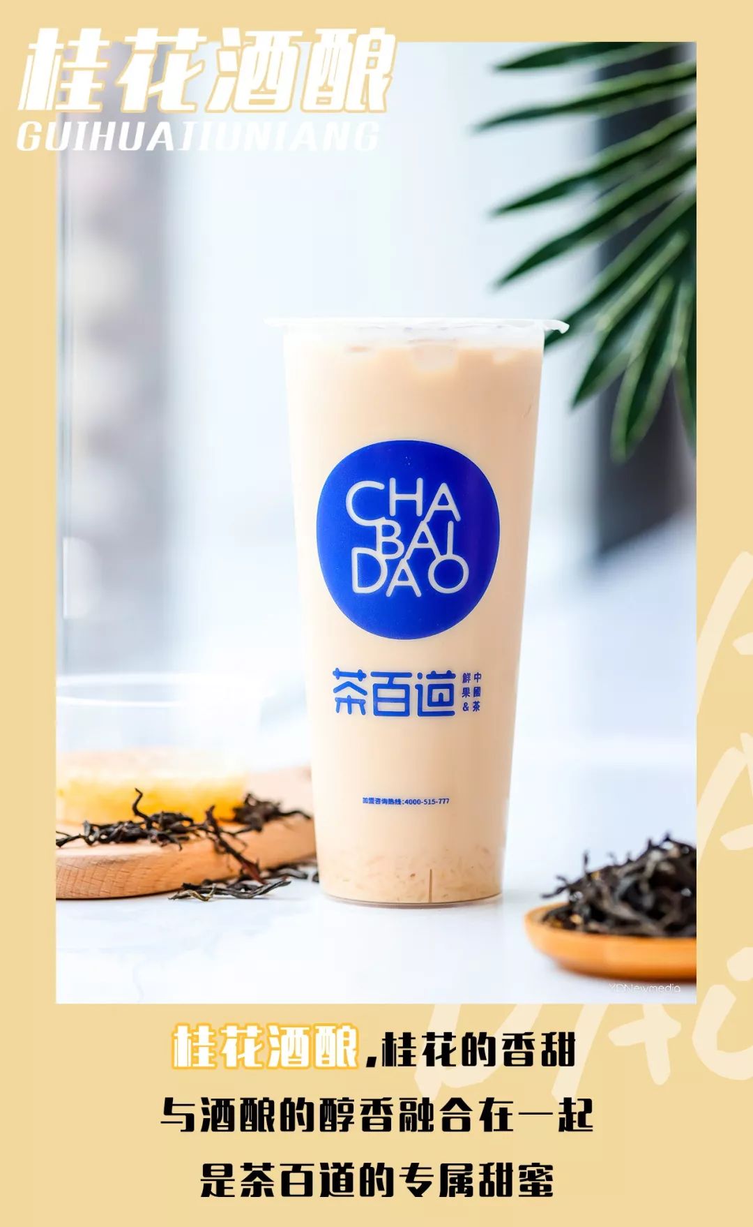 成都奶茶三巨头茶百道来武汉了十店齐开买一送一