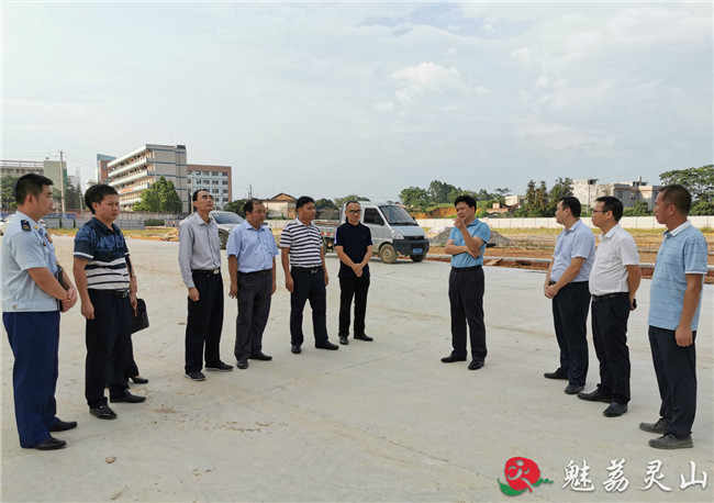 核发:灵山县融媒体中心返回搜狐,查看更多原文链接:刘钦到灵城第四