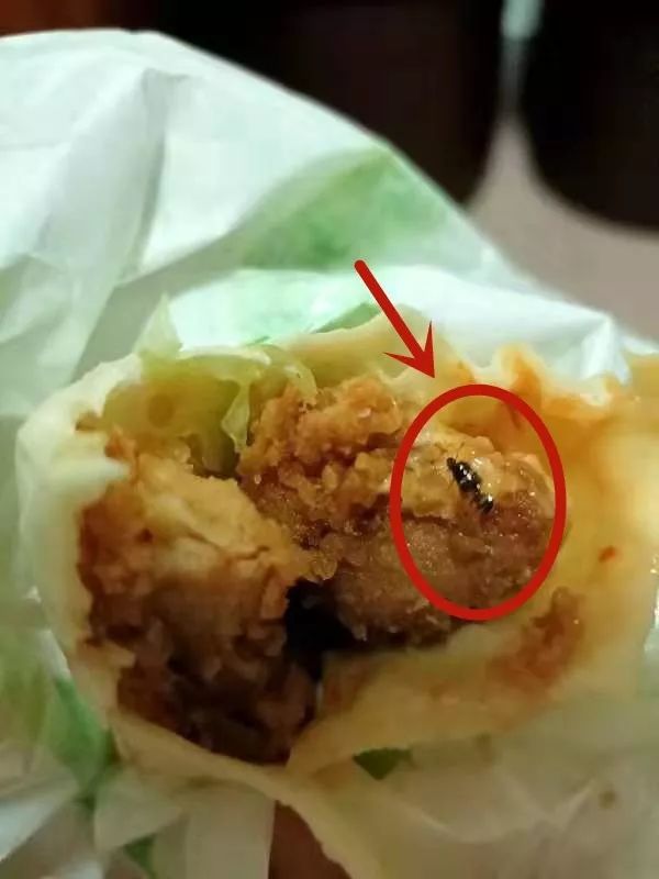 揭阳又现蟑螂腿麻辣烫鸡肉卷实在是重口味