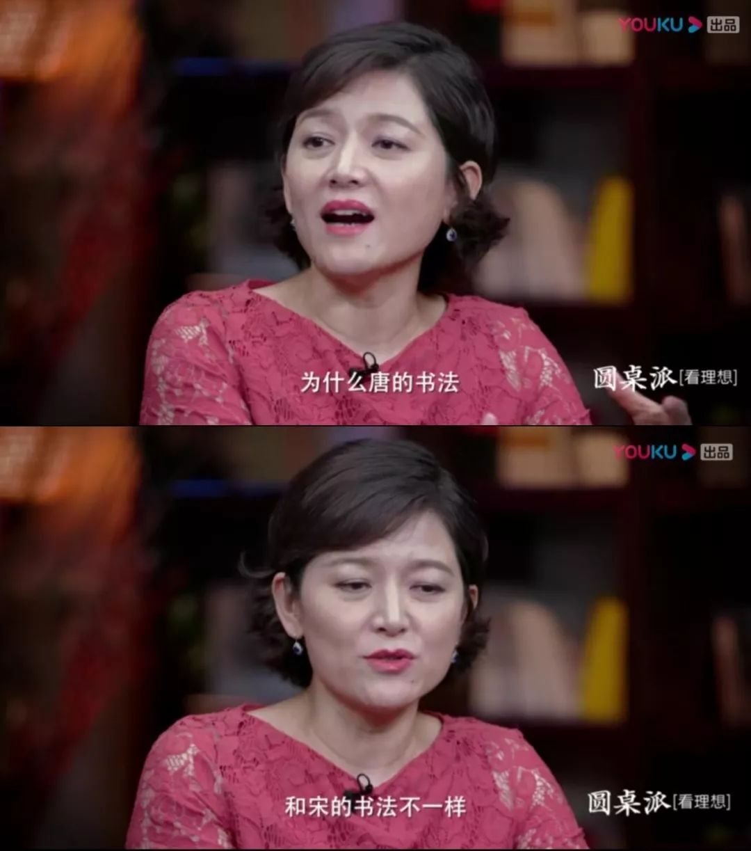王蒙在圆桌派聊书法聊嗨了