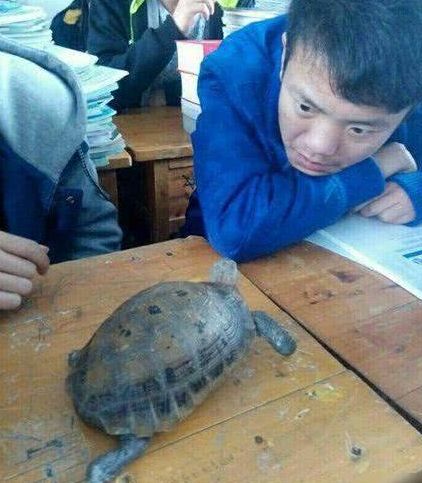 王八瞪绿豆,对上眼儿了16,经理要找一个秘书,他要应聘者接受心理学家