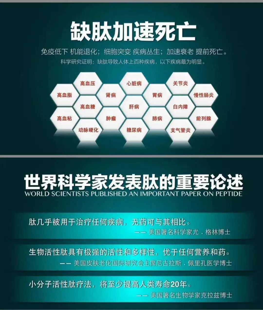 肽能在人体新陈代谢的循环中将血管中的反式脂肪酸等脂类垃圾随粪便
