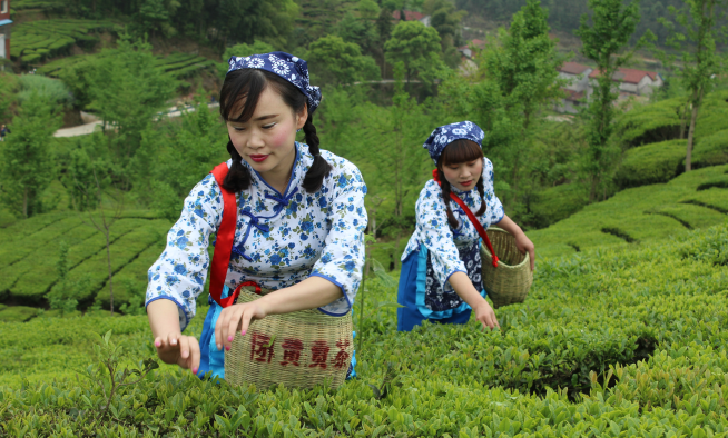 徐守启出生在素有"八山一水一水一分田"的英山县,对英山县有着浓厚的