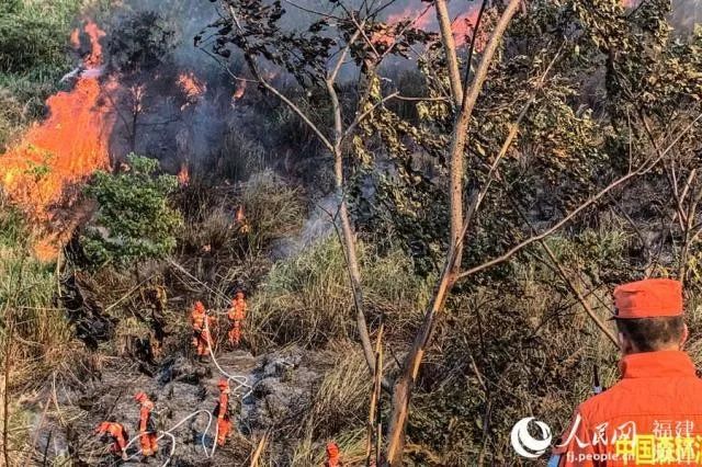 张子剑) 8月28日12时46分,福建省南平市延平区塔前镇发生森林火灾