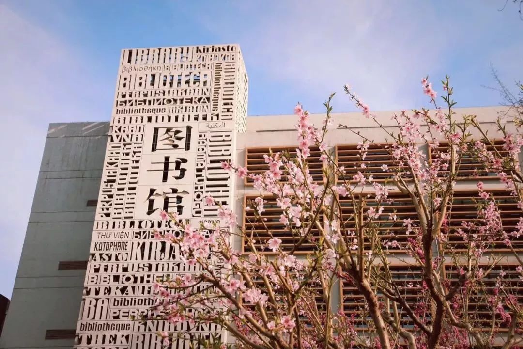 6.1)图书馆小池塘春风乍起 ,吹皱一池碧绿