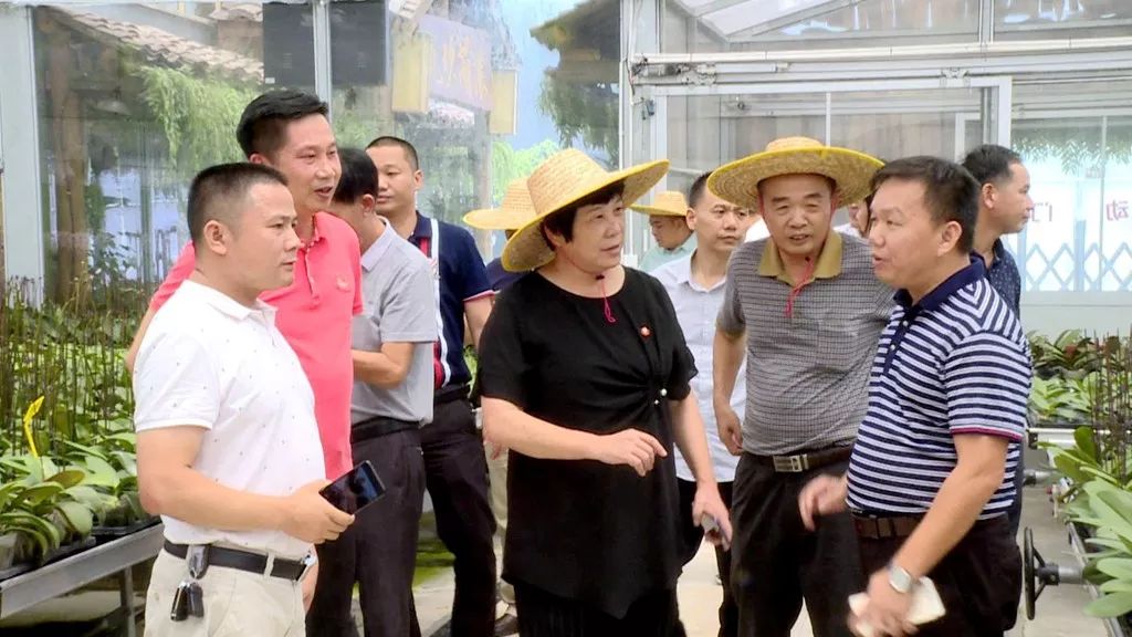 连平组团赴佛山市考察农业项目,加快忠信农业产业园项目建设