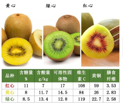 全国包邮红心猕猴桃高甜爽口年年供不应求你不来尝尝吗