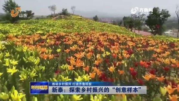 圍繞市場奇缺,產業附加值高的特色項目,新泰市羊流鎮還先後發展起百合