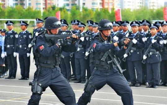 中国人民武装警察部队学院是一所中国公安部部属高校,是一个正军级