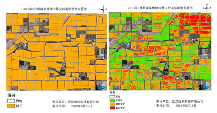 珈和科技棉花雹灾遥感监测继续深耕农业领域,解决农业问题在珈和刚