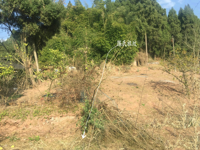 四川風水名地陳氏祖墳風水風水大師王君植帶重慶尋龍點穴班弟子考察