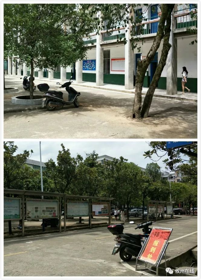 11:30 攸县明阳学校早上11:10株洲长鸿实验学校.