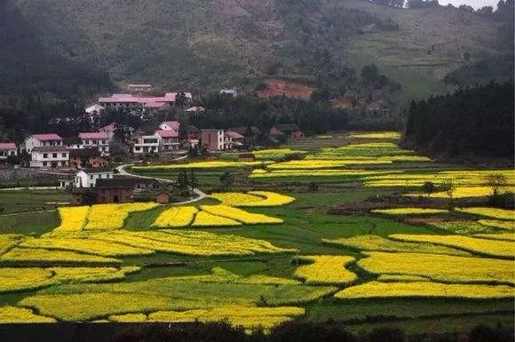 攸县:黄丰桥镇泉塘村,黄丰桥镇富头村,黄丰桥镇凤塔村,酒埠江镇大田村